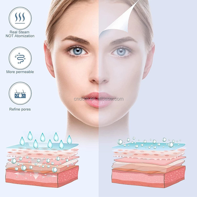 Hot Cold Düse Esthetician Dampfer Stromversorgung 110-240 VAC für Heim Schönheitssalon Spa